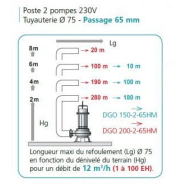 Poste de relevage calipro2175 2dgg 65-300 - 304352_1