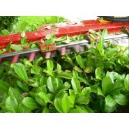 Sécateur hydraulique à double sens de mouvement des lames