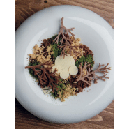 Wood - Moule en silicone Gourmand Horeca Pavoni Italia - 10 empreintes_1