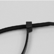 Lien de serrage Polyamide -  Longueur 160 mm - Tige Ø4.8 mm - Naturel_1