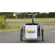 Triporteur Nihola Cargo Single - Musculaire - Volume 180L - Charge 100kg_1