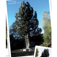 Pylones design - Pin accès échelle extérieure - Cyprès à feuillage dense - Cocotier - Arbre mort_1