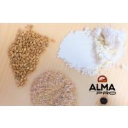 Moulin à meule de pierre 50 kg/h_1