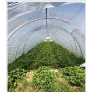 Serre agricole avec porte amovible et ancrage à hélices