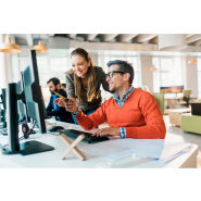 Logiciel de conception et de contrôle des réseaux d'éclairage public basse et haute tension - Caneco EP_1