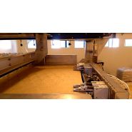 FL-018-S-V - Dépalettiseurs semi-automatiques par le haut - F.B.L._1