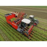 Arracheuse par préhension ZKIV - Dewulf BV - 120 t/h - 4 rangs - largeur 3500 mm - pour carottes fraîches_1