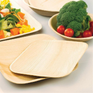 Assiette rectangulaire feuille de palmier 25x16x2,5cm - par 200_1