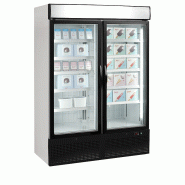 Congélateur vertical vitré NF5000G (1149 / 1079 L) Blanc TEFCOLD_1