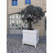 Bac d'orangerie oasis hauteur 1050 mm