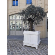 XIAOGUANG Jardinière Blanc 78x40x52 cm Bois Massif de  pin,Jardinières,Jardinieres Exterieur,Bac Jardiniere,Bac à Fleurs  Extérieur,Jardinieres Balcon