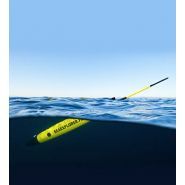 Planeur SeaExplorer conçu pour des profondeurs jusqu'à 1000 mètres