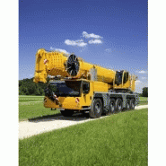 Ltm 1160-5.2 grue mobile_1