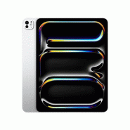 IPad Pro 13p M5 2 To cellular - Argent_1