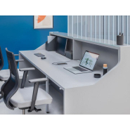 Banque d'accueil en relief ALPA - Ref : ALP05_1