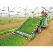 Récolteuse Slide Valeriana - Hortech SRL - pour mâche - vitesse max 10 km/h - système de coupe moderne_1