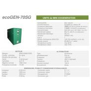 Ecogen-70SG - Cogénération - Cogengreen - Puissance électrique 70 kW (62 kW en groupe de secours) - Unité de mini-cogénération_1