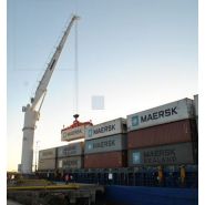 Fcc 280 grue portuaire fixe - liebherr - force de levage max 45t_1