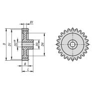 22402 - Engrenages en plastique à denture droite - Norelem France - 12 à 110 dents - Polyacétal ou Polycétone_1