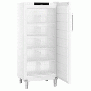 Armoire réfrigérée négative blanche - Statique SmartFrost - 289 L | Liebherr - FFFsg 5501 Performance_1