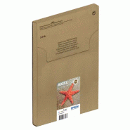 Epson Multipack 4-colours 603XL EasyMail_1