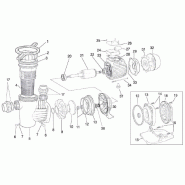 Pompe de filtration piscine villabella PEDROLLO 75 triphasé 230/400v - 0.55kw - 15m3/h_1