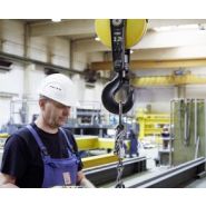 Aimants permanents DPM - Demag Cranes & Components - indépendants de la tension - pôles non magnétiques - charges de 125 à 2 000 kg_1