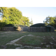 Voliere pour volaille alca torda_1