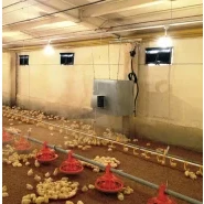 Master CF 75 SPARK - chauffage d'air à gaz direct_1