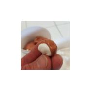 Élastomère de silicone - cop - dureté 20 sha - siportho 20_1