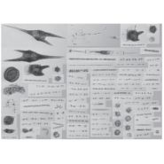 Cytomètre submersible cytobot