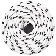 Vidaxl corde de travail blanc 10 mm 100 m polyester 152773_1