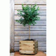 Bac carré Stockholm 50 - 65L - 50 x 50 x 43 cm en pin européen traité - épaisseur 4 cm_1