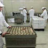 Peinture de sol - Epoxy Grip® spécial hygiène 5L - Antidérapante & Sécurisante_1