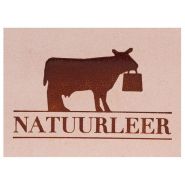 Posta Perma - Fer à marquer électrique 100 Watt - Plaque 50x30mm en laiton ou acier_1