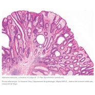 Caméra Nikon DS-Fi3 - Haute définition, haute vitesse et haute sensibilité - Capteur CMOS 5,9 MP_1