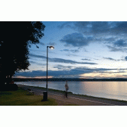 Luminaire d'éclairage public Vialume 1 - LED 74W - 6300 lm - Aluminium - Hauteur conseillée 8 m - Lentilles AGC et technologie CLO_2