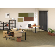 Bureau de direction ergonomique et polyvalent pour espace de management_1