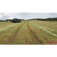 Faucheuse andaineuse SW - Moresil S.L - tailles disponibles 6,50 m, 7 m et 7,50 m - contrôle hydraulique, moulinet réglable et options pour récolte de colza_1