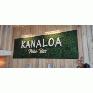 Logo ou lettres sur fond végétal synthétique - Logo, Rouge_1