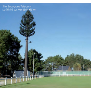 Pylones arbres accès intérieur - Karbre - de 12 à 30 m - couleur marron ou noir_1