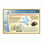 Création graphique pour la signalétique_1