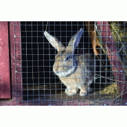 Grillage pour animaux soudé gris - H.0.5 x L.3 m - Maille H.19 x L.19 mm - Acier_1