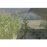 Volière d'élevage solaire photovoltaïque_1