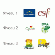 Composition de logos ou de blasons_1