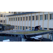 Préau écologique à toiture végétale - Koman Groupe_1