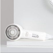 Sèche-cheveux mural Albany - avec prise rasage 220V et protection surchauffe_1