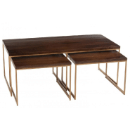 Table basse salon 3 parties BIOR - bois de manguier brun foncé et métal doré - pratique et design_1