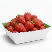 Barquette Carton Vert/Blanc 1kg - Sans Impression - Lot de 500_1