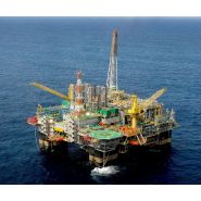 Mtc 3100 grue portuaire offshore - liebherr - capacité de levage max 100t_1